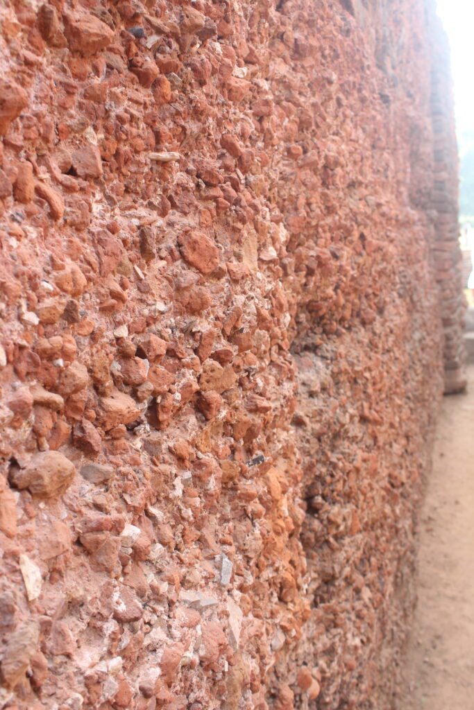 a wall view of nalanda khandar