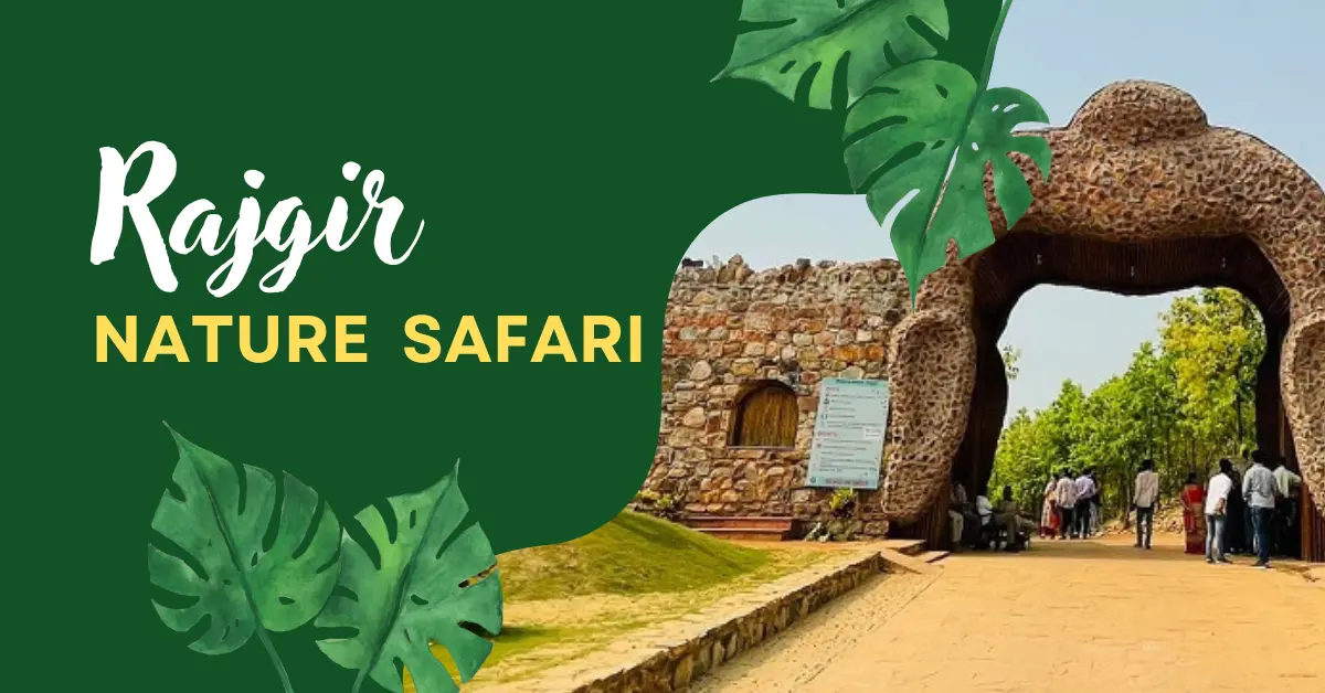 rajgir nature safari