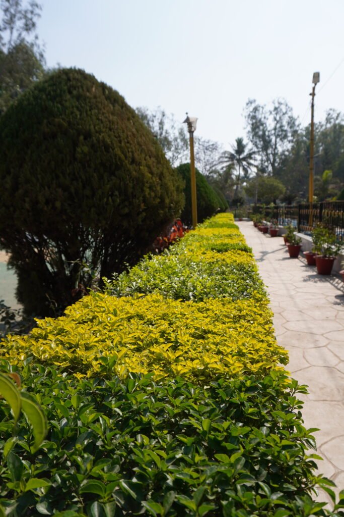 subhash park view