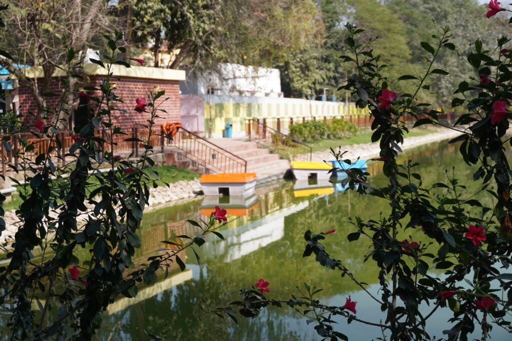 subhash park pond