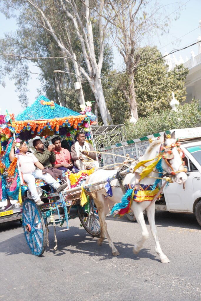 horse cart near rajgir gurudwara