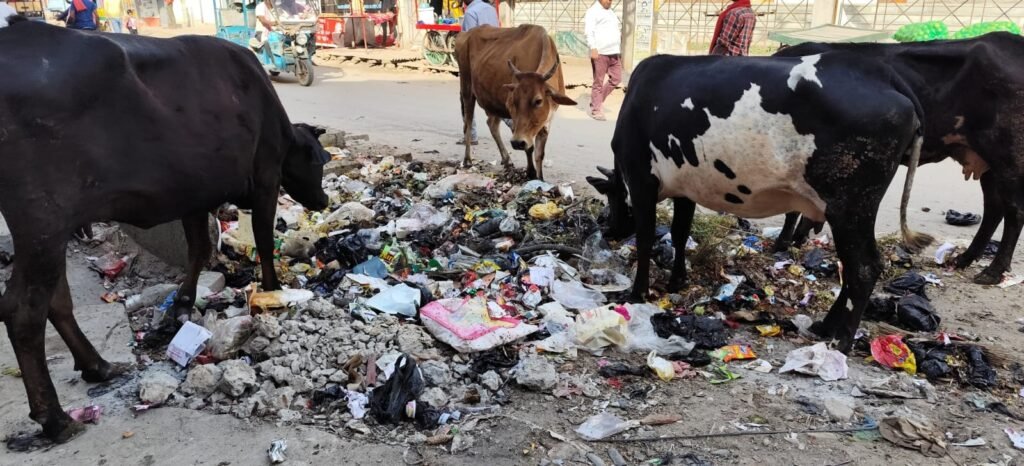 wastage and animals