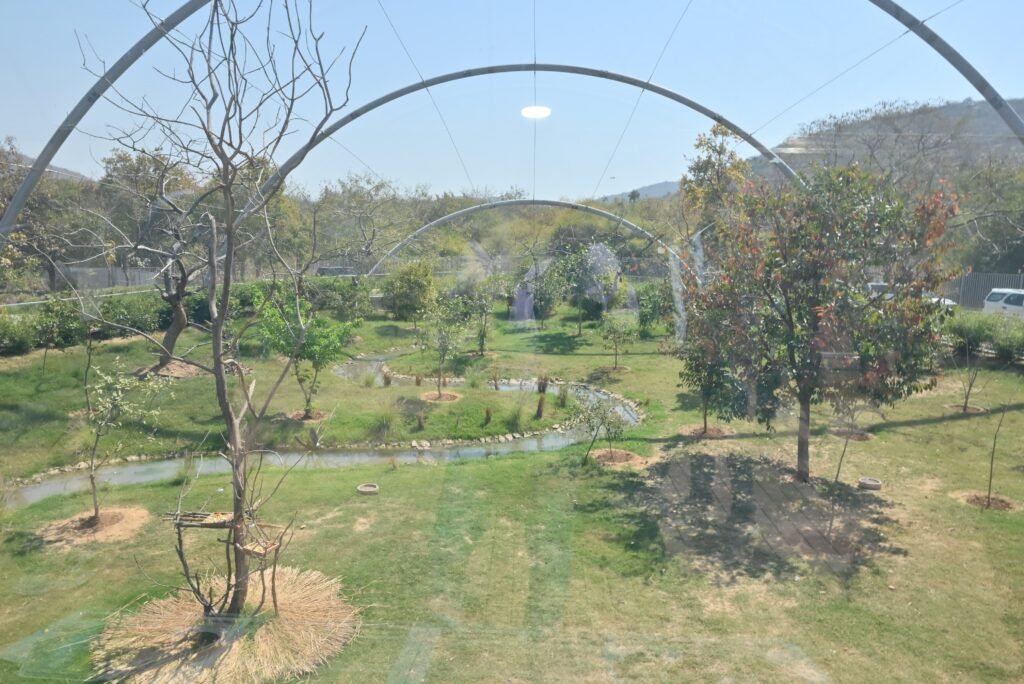 bird shelter in rajgir zoo safari