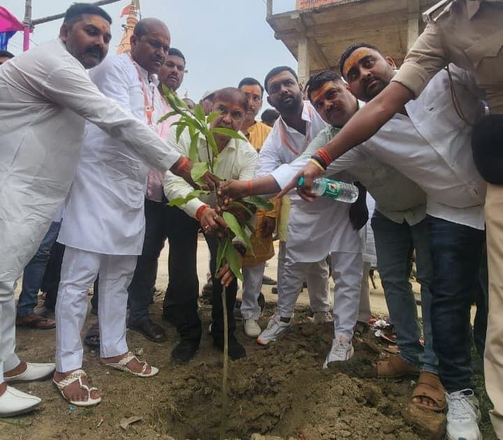 वृक्षारोपण