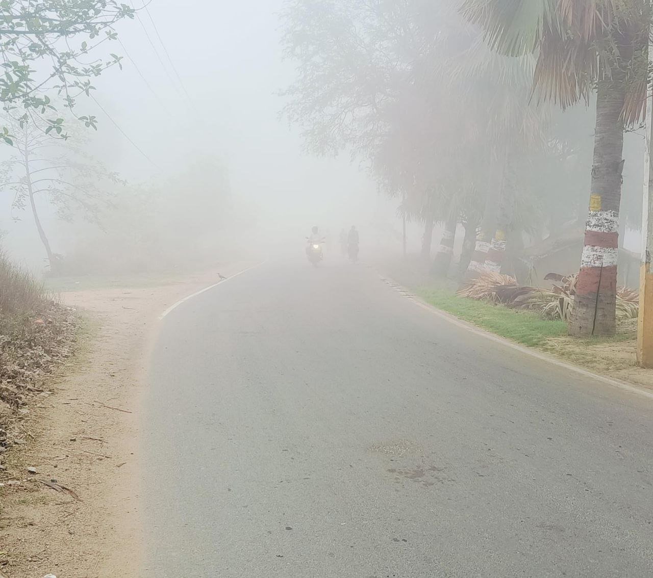 People were surprised to see dense fog in April, sudden change in weather increased concern
