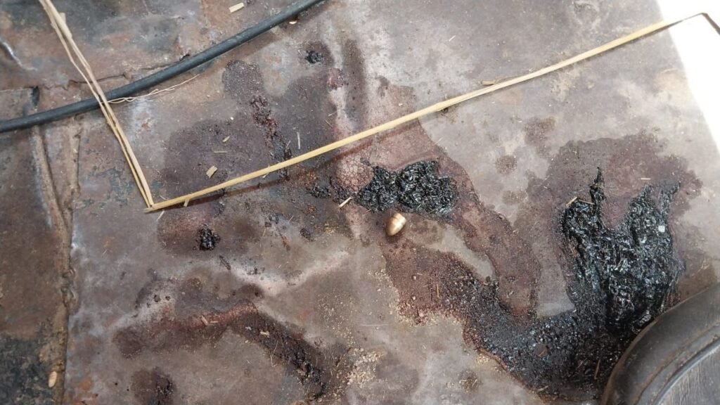 Firing in broad daylight in Harnaut, old man injured, referred to Patna