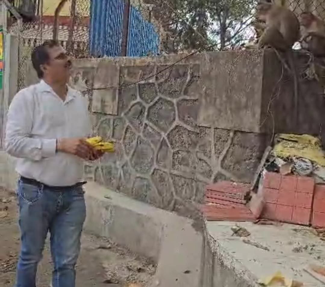 Arvind Sinha became an example of humanity among hungry monkeys, said- 'Relief of hunger is the true pilgrimage'