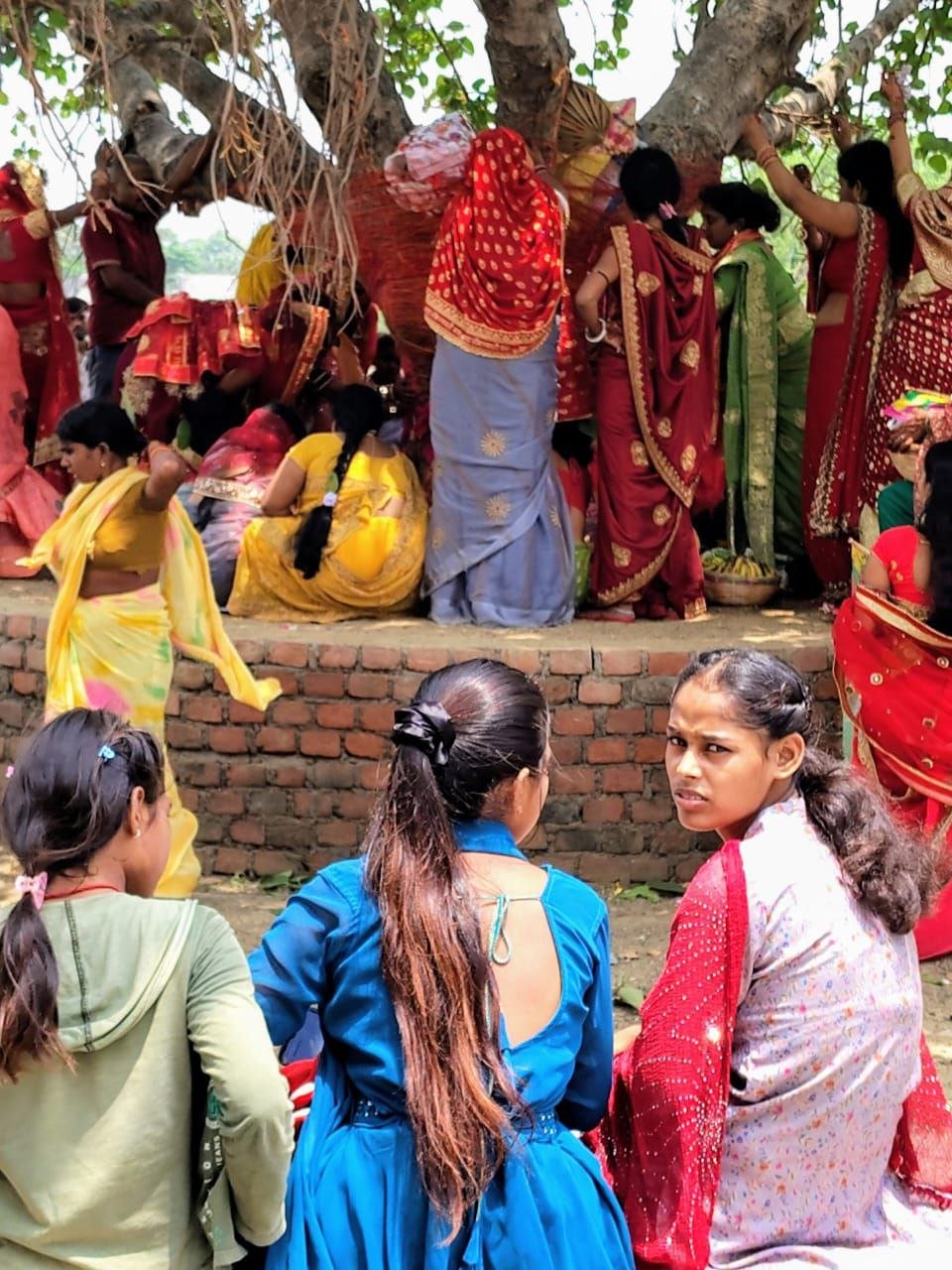 Butt Savitri Puja was celebrated with great pomp in Ben, women kept fast for the long life of their husband