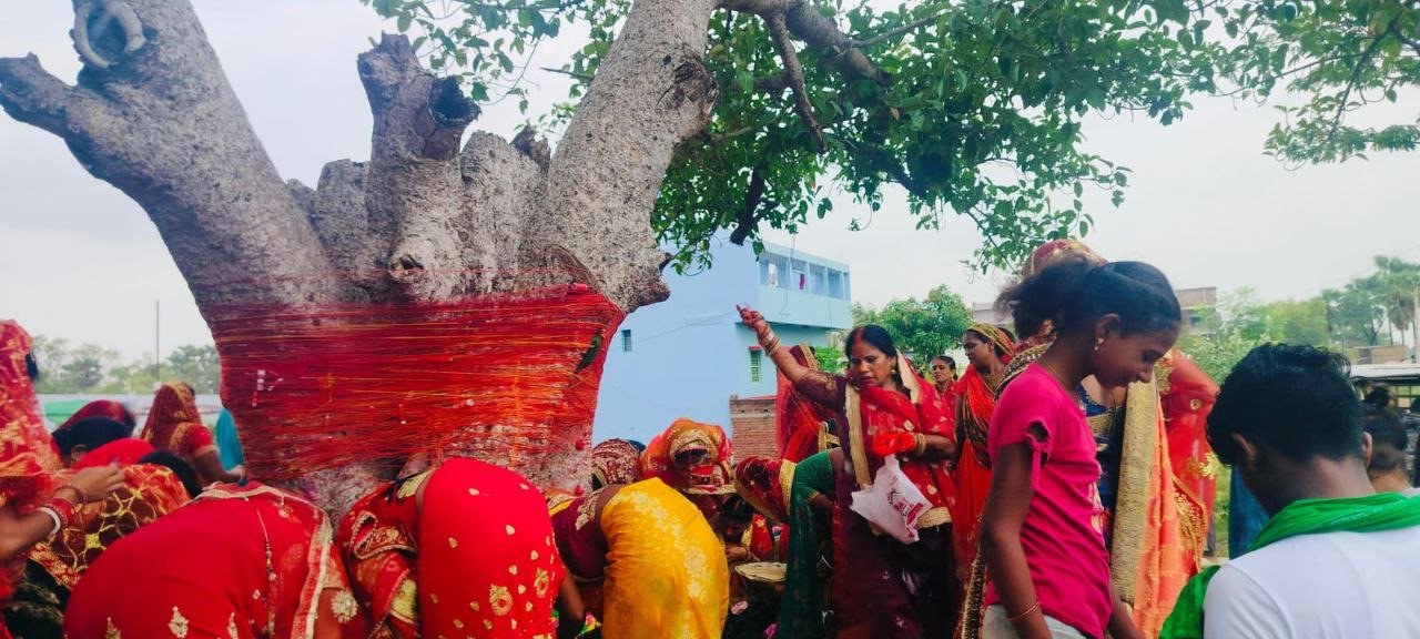 "Rain of faith under the shade of banyan tree-Traditional But Vrat Puja completed in Hasanpur"