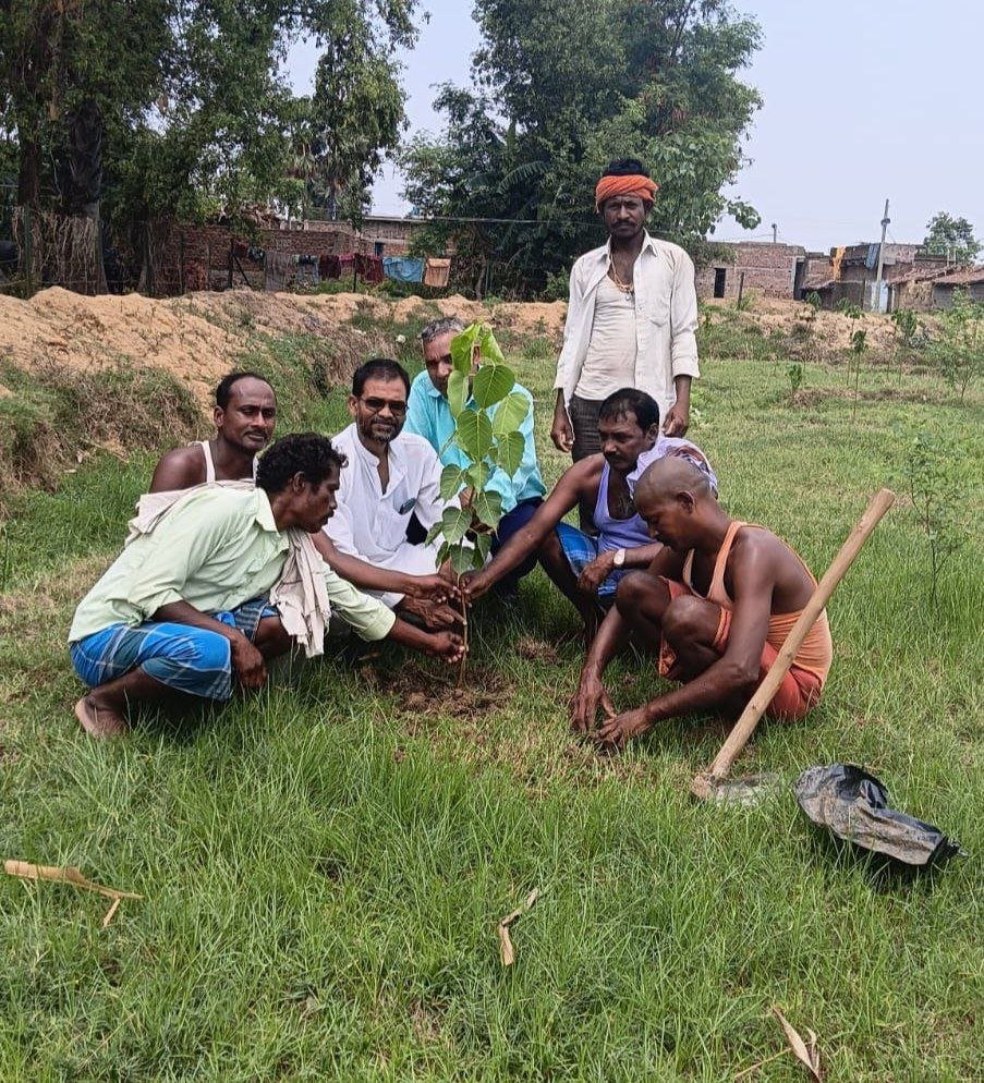 On World Environment Day, a message of environmental protection was given by planting a Peepal tree