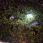 Tragic death of farmer after tractor overturns, mourning spreads in the village