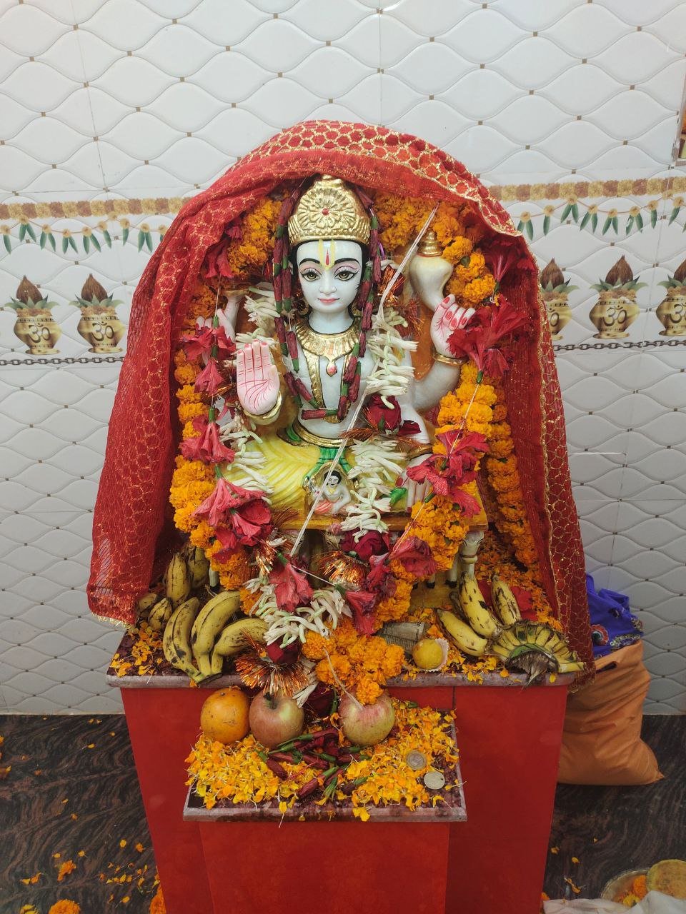 Surya Mandir Pranapratishtha in Daili village, huge crowd gathered for the five day ritual