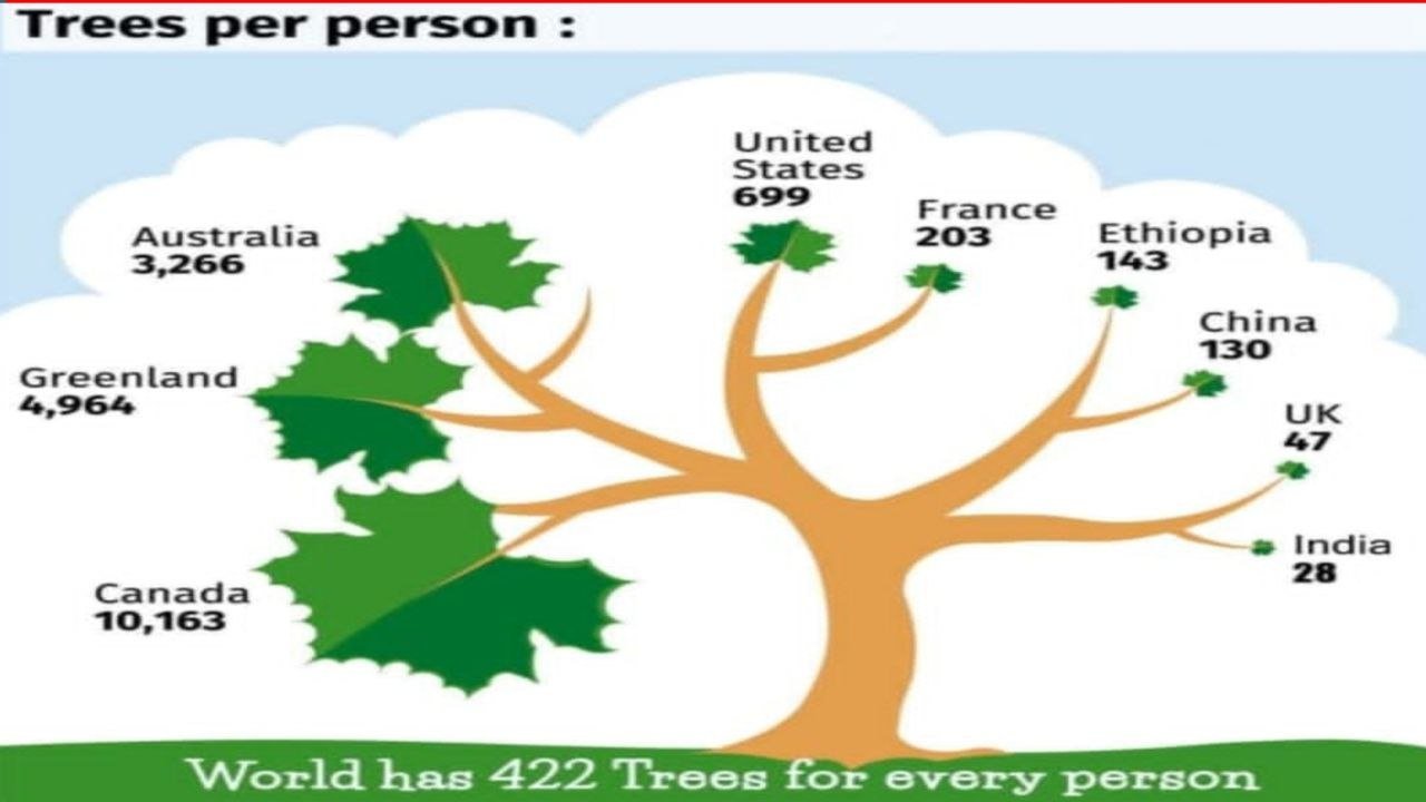 The Number of Trees Per Capita Globally: A Critical Assessment from an Environmental Perspective