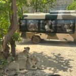 Foreign Content Creators Visited Rajgir Zoo and Nature Safari.