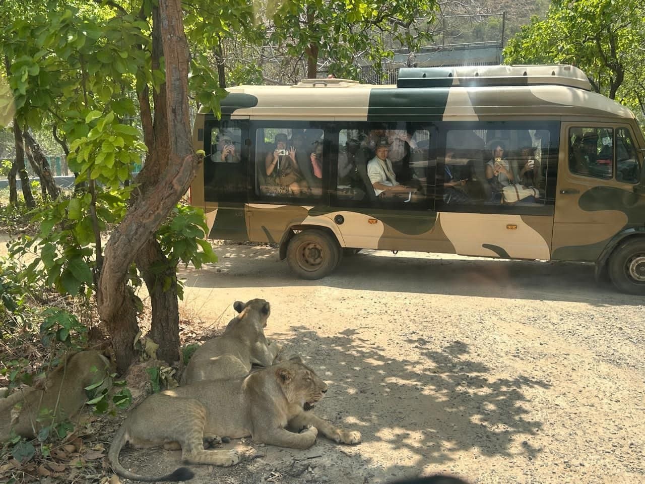 Foreign Content Creators Visited Rajgir Zoo and Nature Safari.