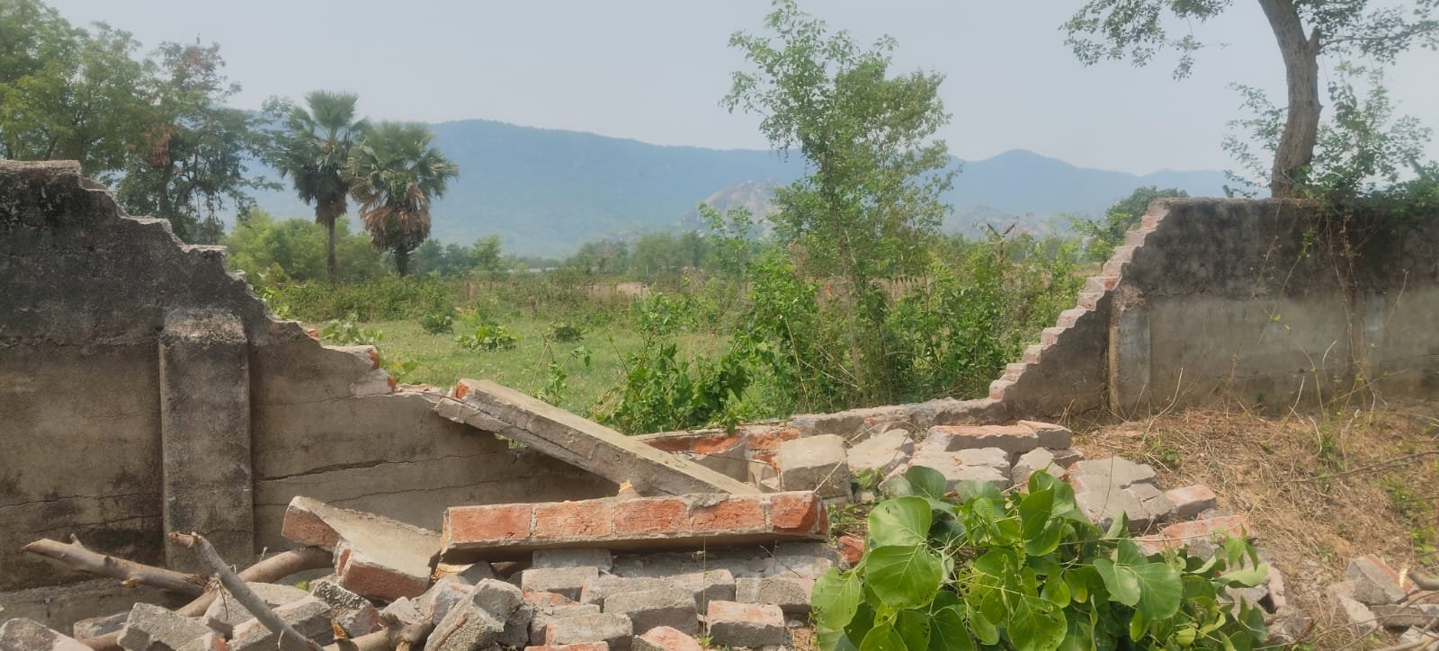 Elephants wreak havoc in Kauakol, causing extensive damage to JP Ashram and several houses.