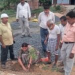 Along with road construction, greenery initiative, message of environmental protection given by planting 60 trees