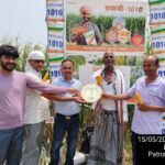 Sayaji Seeds' maize crop exhibition in Jhamadih, farmers are excited to see the bumper production