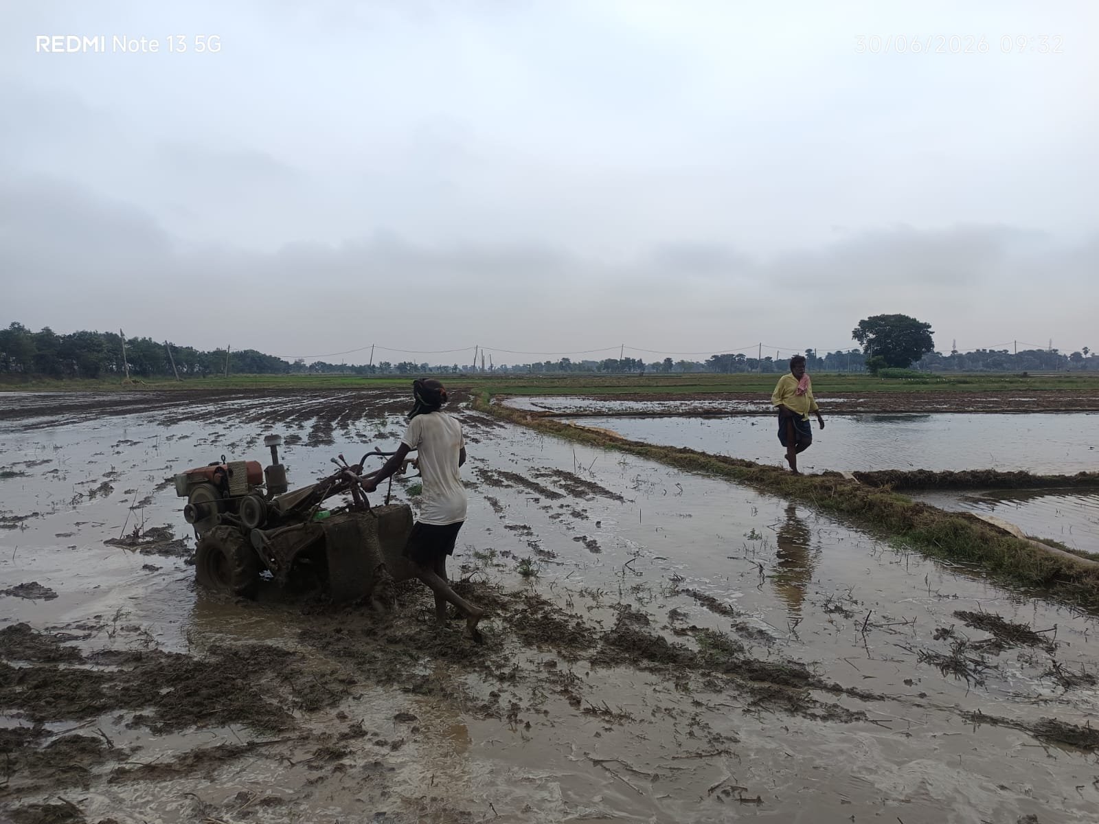 Waiting for rain, yet farming continues: Paddy planting begins in Harnaut with the help of tube wells, target of 12,193 hectares