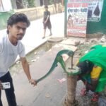 Groundwater level improves in Harnaut due to continuous rainfall; over 2,900 handpumps across 11 blocks restored.