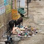 99 complaints resolved in four hours, 'Tatpar Bihar Sharif' campaign speeds up municipal services